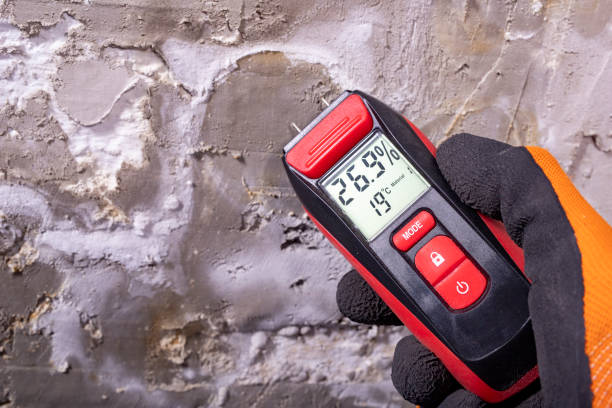 Best Localized Mold Remediation (e.g., coastal areas, humid climates) in High Bridge, NJ