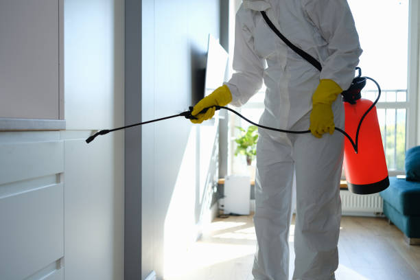 Best Mold Remediation for Schools in High Bridge, NJ